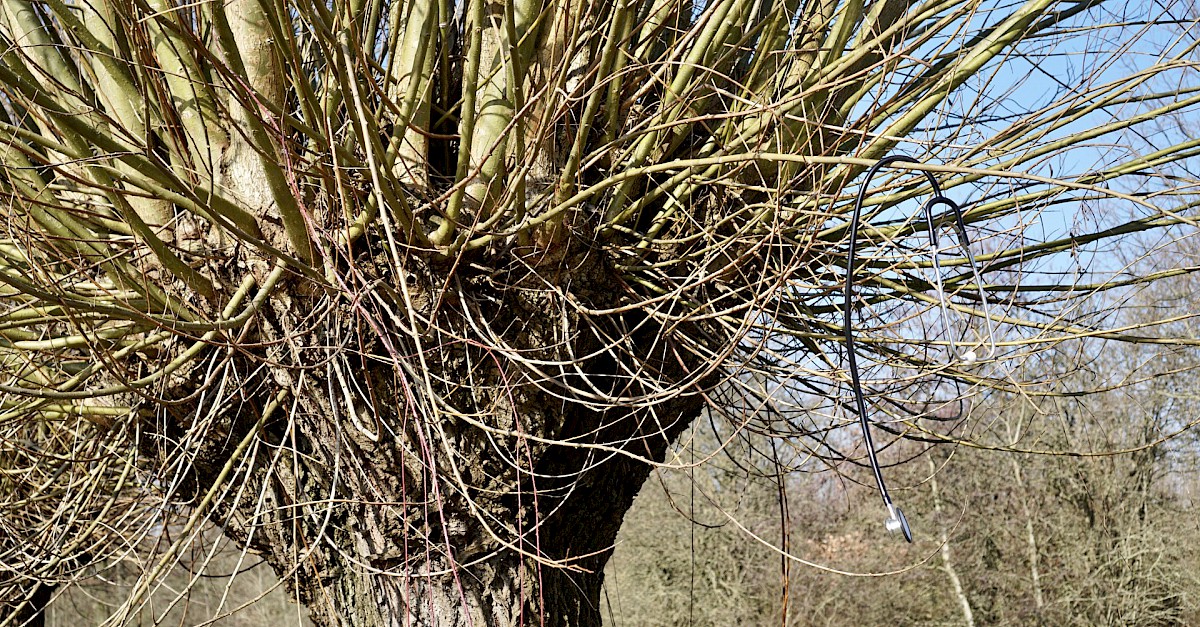 Mijn stethoscoop aan de wilgen | ingekroese.nl
